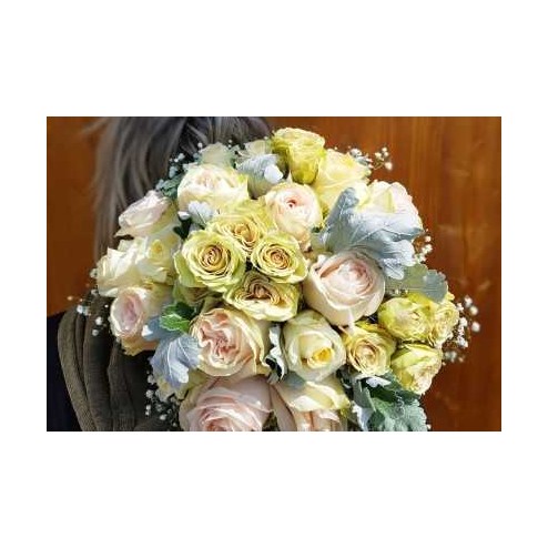 Carte cadeau test 2