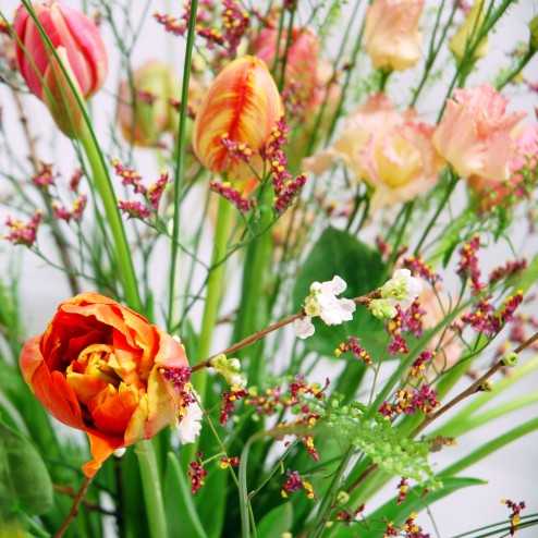 bouquet de tulipe